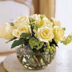 Seller Image